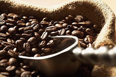 Capom开展《原始袭变》调查问卷送游戏壁纸